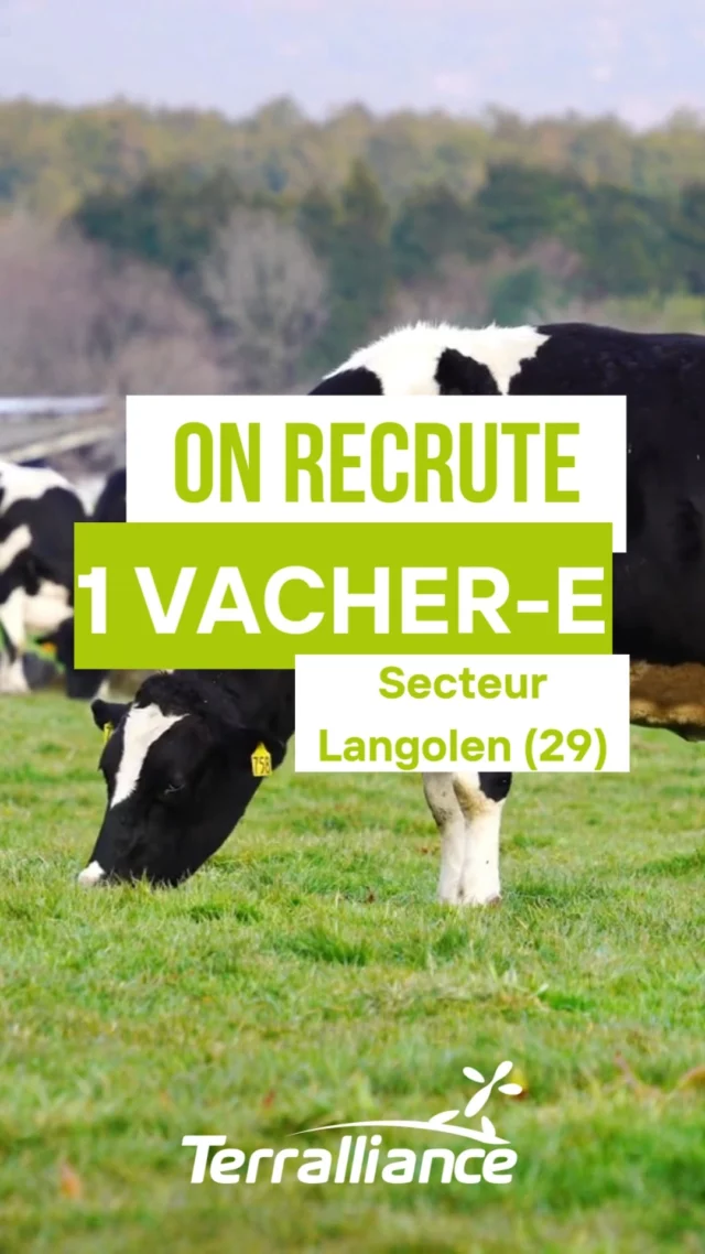 📢📢 𝐍𝐨𝐬 𝐞́𝐥𝐞𝐯𝐞𝐮𝐫-𝐞𝐮𝐬𝐞-𝐬 𝐨𝐧𝐭 𝐛𝐞𝐬𝐨𝐢𝐧 𝐝𝐞 𝐯𝐨𝐮𝐬 ! 📢📢

🐮 SALARIE-E AGRICOLE EN PRODUCTION LAITIERE RECHERCHÉ-E – SECTEUR LANGOLEN (29) ! 🥛

👋 Tu cherches un job en 𝐂𝐃𝐈 𝐭𝐞𝐦𝐩𝐬 𝐩𝐥𝐞𝐢𝐧 (40H) 𝐞𝐧 𝐩𝐫𝐨𝐝𝐮𝐜𝐭𝐢𝐨𝐧 𝐥𝐚𝐢𝐭𝐢𝐞̀𝐫𝐞 ? Tu es motivé-e et prêt-e à rejoindre des exploitations dynamiques de plus de 200 vaches laitières ?

📌 𝐓𝐞𝐬 𝐦𝐢𝐬𝐬𝐢𝐨𝐧𝐬 𝐩𝐫𝐢𝐧𝐜𝐢𝐩𝐚𝐥𝐞𝐬 :
🔹 Réalisation de la traite en rotative
🔹 Alimentation au bol mélangeur ;
🔹 Soins aux veaux ;
🔹 Paillage à la pailleuse ;
🔹 Conduite du matériel agricole sur l'exploitation.
Dans un esprit de cohésion d'équipe, il est possible d'aménager les horaires.

📍 𝐋𝐢𝐞𝐮 : Langolen (29).
📆 𝐏𝐞́𝐫𝐢𝐨𝐝𝐞 : démarrage immédiat.
🎯 𝐍𝐢𝐯𝐞𝐚𝐮 𝐝'𝐚𝐮𝐭𝐨𝐧𝐨𝐦𝐢𝐞 : Avoir déjà une première expérience. 

🔎 Intéressé-e ? Contacte-nous dès maintenant 𝐞𝐧 𝐌𝐏 ou par téléphone au 𝟎𝟐 𝟗𝟔 𝟕𝟗 𝟐𝟑 𝟒𝟔 ! L'annonce est disponible 𝐯𝐢𝐚 𝐥𝐞 𝐥𝐢𝐞𝐧 𝐞𝐧 𝐁𝐈𝐎 pour postuler !

👐 𝐏𝐚𝐫𝐭𝐚𝐠𝐞 𝐬𝐢 𝐭𝐮 𝐜𝐨𝐧𝐧𝐚𝐢𝐬 𝐪𝐮𝐞𝐥𝐪𝐮’𝐮𝐧 𝐪𝐮𝐢 𝐜𝐡𝐞𝐫𝐜𝐡𝐞 𝐝𝐚𝐧𝐬 𝐥𝐞 𝐬𝐞𝐜𝐭𝐞𝐮𝐫 !

#agricole #agriculture #vache #Recrutement #Bretagne #agriculture #langolen