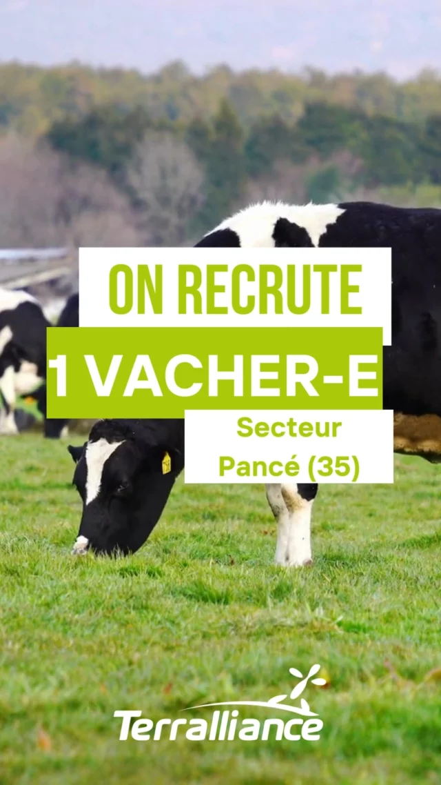 📢📢 Nos éleveur-euse-s ont besoin de vous ! 📢📢

🐮 VACHER / VACHÈRE RECHERCHÉ-E – SECTEUR PANCÉ (35) ! 🥛

👋 Tu cherches un job à temps partiel en élevage laitier ? Tu es disponible 2 jours par semaine pour travailler avec les animaux tout en gardant tes week-ends libres ? Ce poste est pour toi !

📌 Tes missions principales : 
🔹 La réalisation de la traite
🔹 L’alimentation des animaux avec un bol mélangeur
🔹 La gestion des veaux
🔹 Le paillage à la pailleuse

📍 Lieu : Pancé (35)
📆 Démarrage : Immédiat ou dès que possible
⏰ Temps de travail : 2 jours par semaine (jeudi & vendredi)
📄 Pas de travail le week-end !

🔎 Intéressé-e ? Envoie-nous un MP ou appelle-nous au 02 99 79 23 46 pour plus d’infos !

📲 L’annonce est dispo dans le lien en BIO pour postuler directement.

👐 Tu ne cherches pas, mais tu connais quelqu’un qui pourrait être intéressée ? Partage cette offre !

#emploiagricole #recrutement #vacher #bretagne #Pancé #élevagelaitier #tempspartiel #Terralliance #jobagricole #agriculture