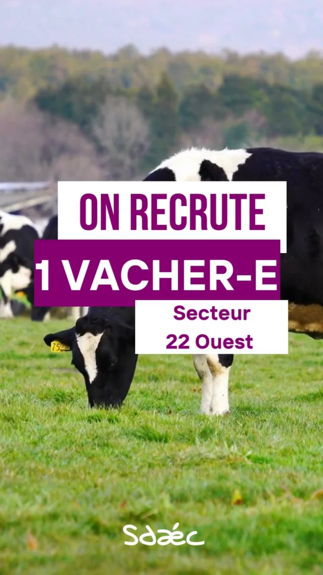 📢 Nos éleveurs ont besoin de toi ! 📢

🐮 SALARIE AGRICOLE EN PRODUCTION LAITIERE RECHERCHE – SECTEUR 22 OUEST ! 🥛

👋 Tu cherches un job en CDI temps plein en production laitière ?

📌 Tes missions principales :
🔹 Le traite
🔹L'entretien des logettes et/ou de l'aire paillée
🔹La distribution des rations
🔹Les soins aux animaux
🔹La conduite de matériel.

📍 Lieu : Bulat-Pestivien (22) ou Bourbriac.
📆 Période : dès que possible.
🎯Niveau d'autonomie : autonome si possible.

🔎 Intéressé ? Contacte-nous dès maintenant en MP ou par téléphone au 02 96 79 23 46 ! L'annonce est disponible via le lien en BIO pour postuler !

👐 Partage si tu connais quelqu’un qui cherche dans le secteur !

#agricole #vache #veau #Recrutement #Bretagne #agriculture #bourbriac #bulatpestivien